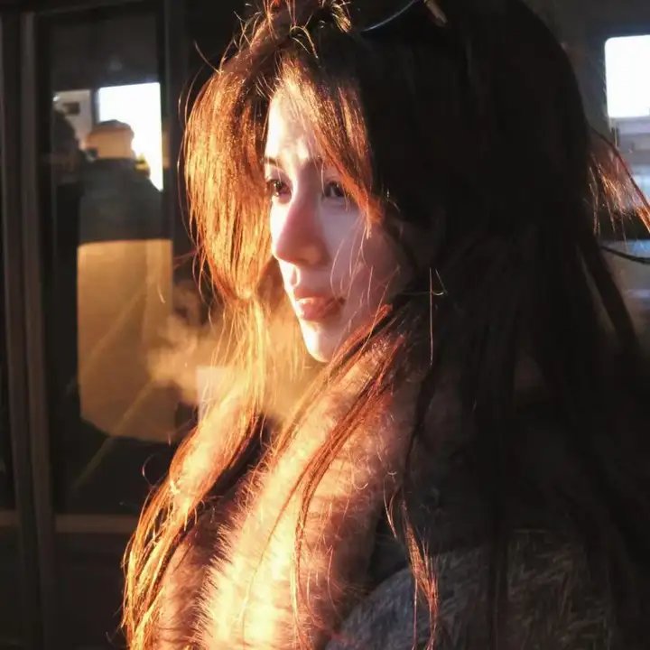 文豪野犬第二季